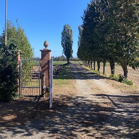 Bilocale Immerso Nel Verde 奥维廖 外观 照片